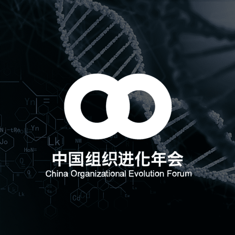 /guest/中国组织进化年.png